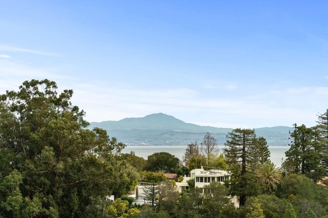 15 Anson Rd in Hillsborough, CA - Building Photo - Building Photo