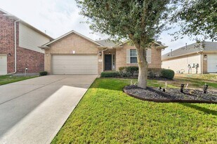 3529 Shiraz Loop in Round Rock, TX - Building Photo