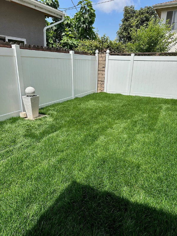 3556 Butler Ave in Los Angeles, CA - Building Photo - Building Photo