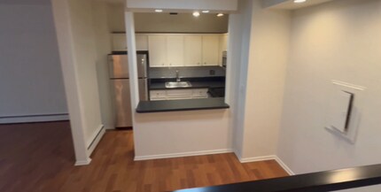 57 E Chestnut St in Chicago, IL - Building Photo - Building Photo