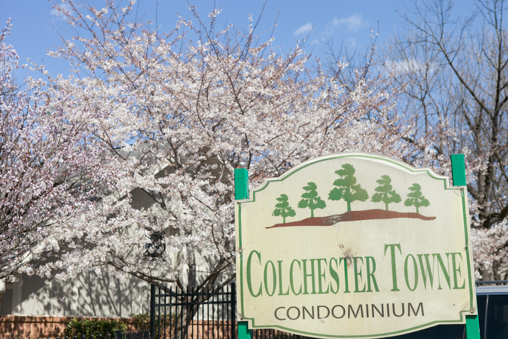 Colchester Towne Apartments Alexandria, VA Apartments For Rent