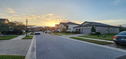 19376 Blossom Vine Ln in Lutz, FL - Building Photo - Building Photo