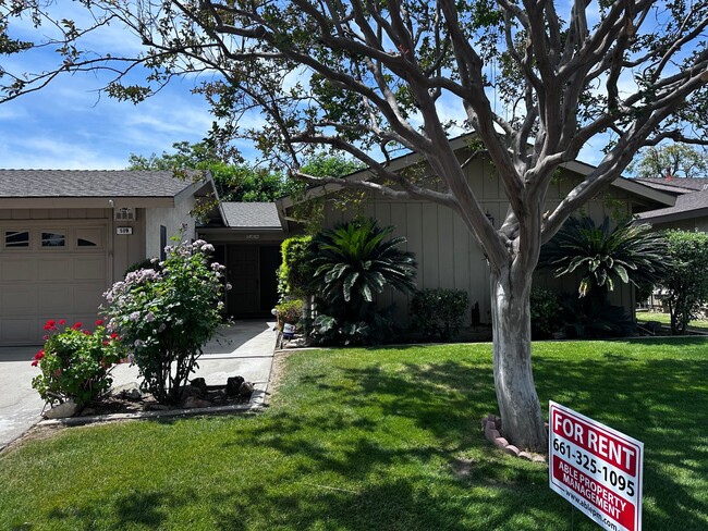 property at 509 New Stine Rd