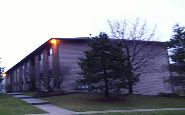 381 N Collins St in South Elgin, IL - Foto de edificio