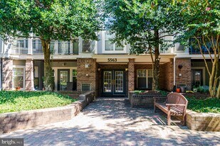 5563 Seminary Rd in Falls Church, VA - Building Photo