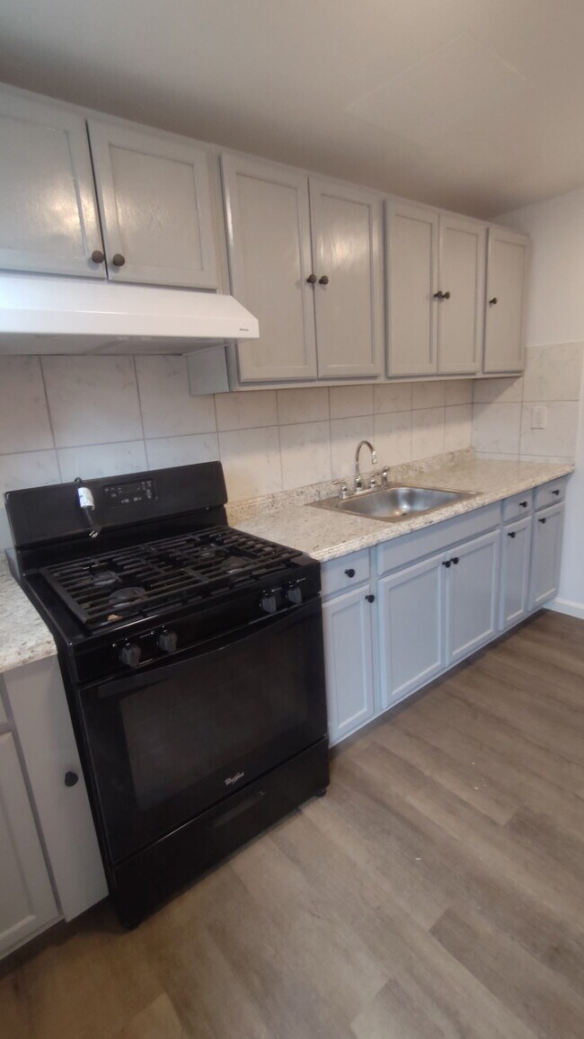 255 E Tusculum St in Philadelphia, PA - Building Photo - Building Photo