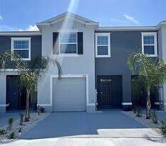 2893 Peony Pr Ln in Wesley Chapel, FL - Building Photo