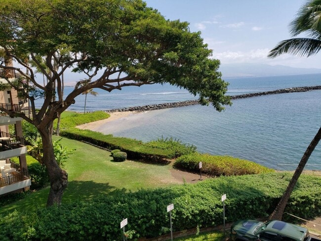 property at 20 Hauoli St