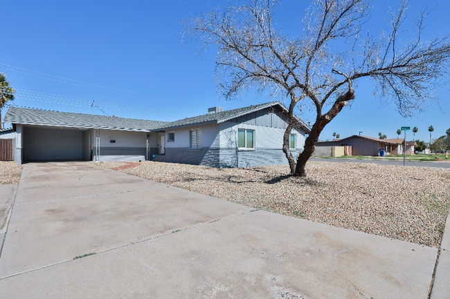 242 W Jasmine St in Mesa, AZ - Foto de edificio - Building Photo