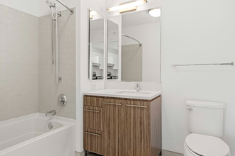 343 N Orleans St in Chicago, IL - Building Photo - Building Photo