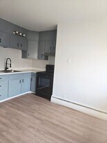 1055 N St Lucas St in Allentown, PA - Building Photo