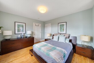 23 Chauncy St in Cambridge, MA - Building Photo - Building Photo