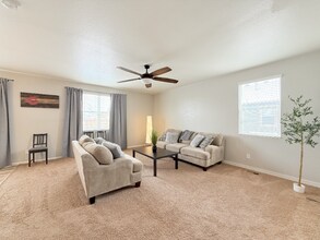 3634 Daylily St in Wellington, CO - Foto de edificio - Building Photo