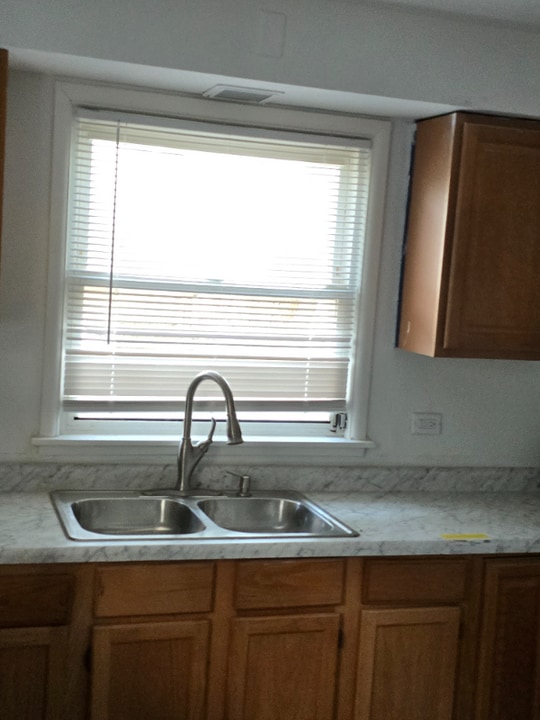 14531 Minerva Ave in Dolton, IL - Building Photo