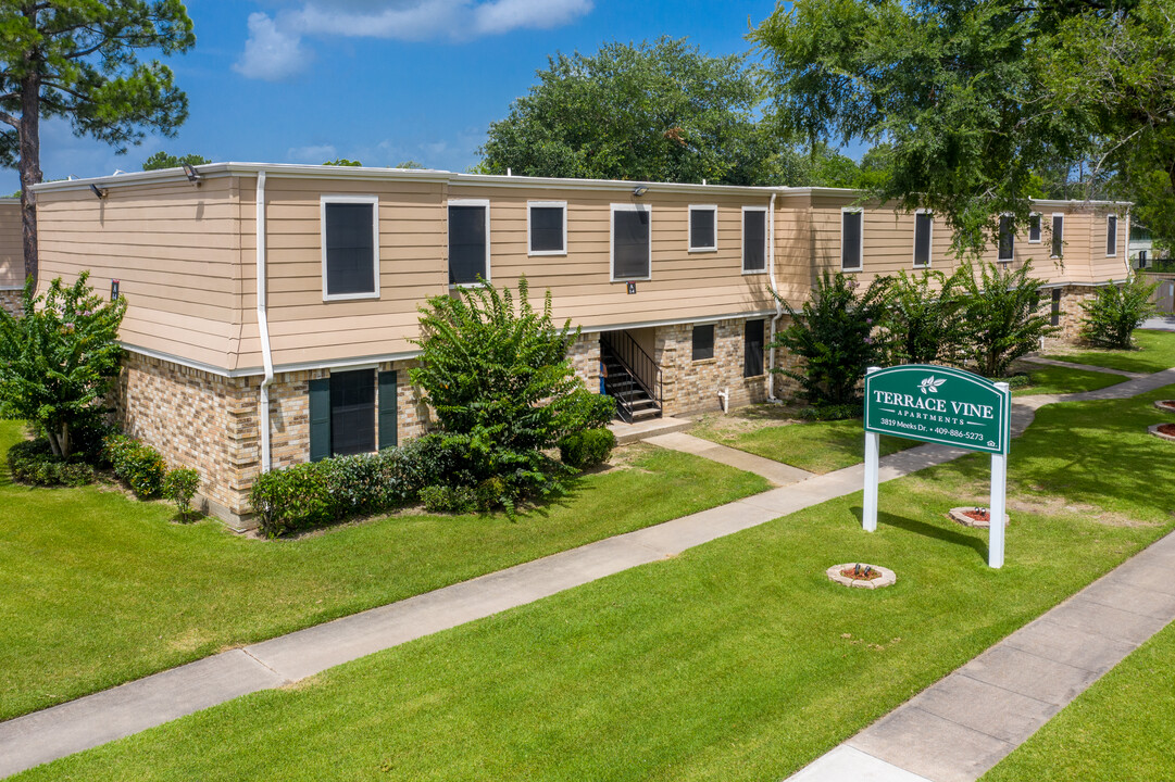 Terrace Vine Apartments in Orange, TX - Building Photo