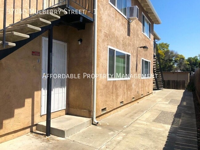 37040 Mulberry St in Newark, CA - Building Photo - Building Photo