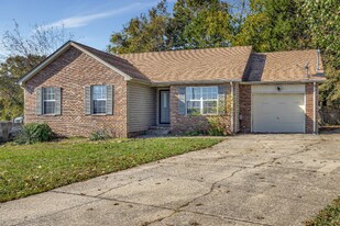 1113 Odom Ct in Smyrna, TN - Building Photo