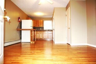 203 E College Ave in Frostburg, MD - Building Photo