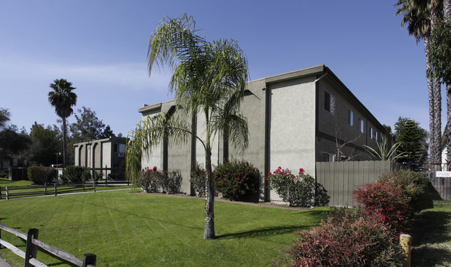 Olive Tree Apartments in Escondido, CA - Building Photo - Building Photo