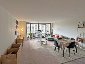 2650 N Lakeview Ave in Chicago, IL - Building Photo - Building Photo