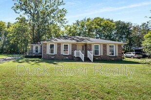 203 Hunter Dr in Columbia, TN - Building Photo