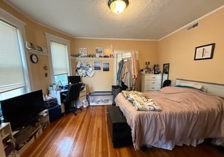 115 Browne St, Unit 115 Browne Street in Brookline, MA - Building Photo - Building Photo