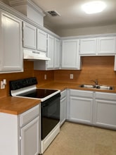 521 Amigos Ln in Mercedes, TX - Building Photo - Building Photo