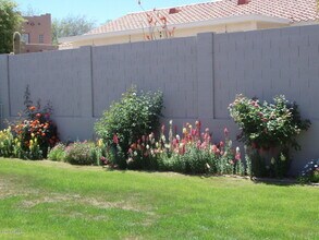 16022 N 17th Pl in Phoenix, AZ - Building Photo - Building Photo