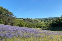 Apartments in El Dorado Hills, CA
