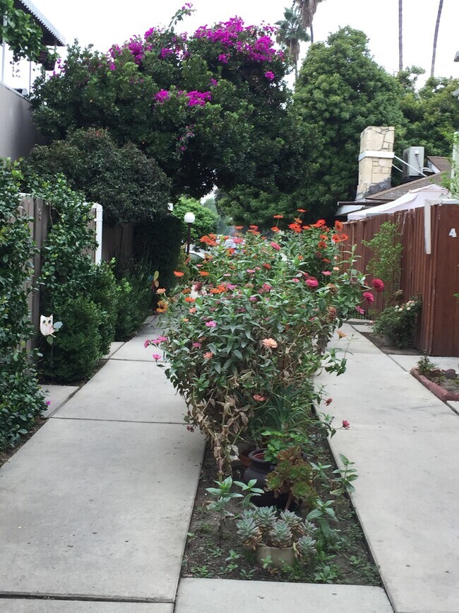 6664 Wilkinson Ave in North Hollywood, CA - Building Photo - Building Photo