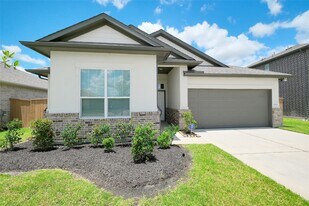 10638 Cascade Crk Dr in Rosharon, TX - Building Photo