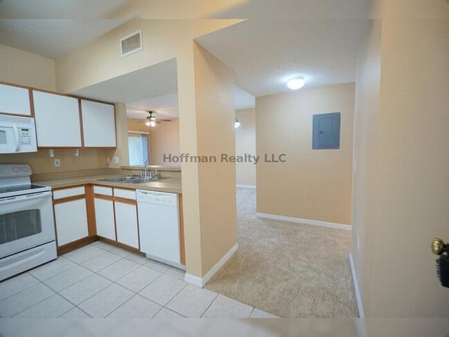 6009 Skydale Way in Riverview, FL - Foto de edificio - Building Photo