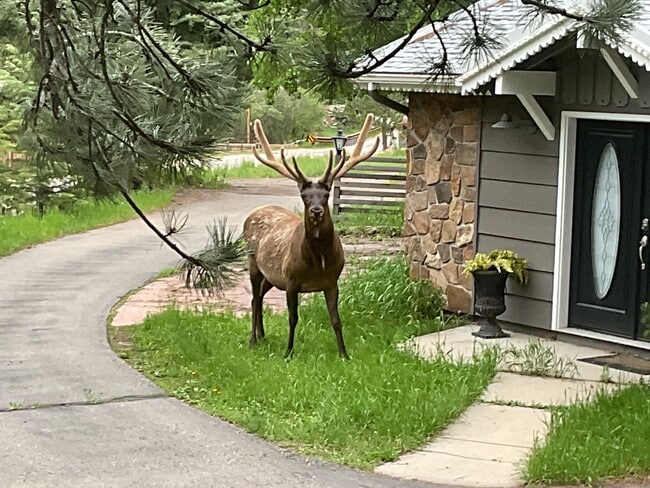 property at 32114 Upper Bear Creek Rd