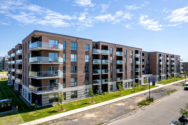 2211 Harry-Halton