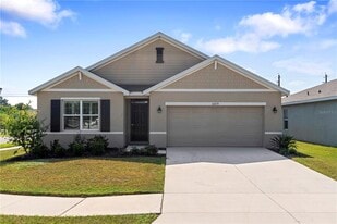10233 Opaline Sky Ct in Riverview, FL - Building Photo