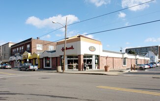 245 S Chestnut St in Ravenna, OH - Building Photo