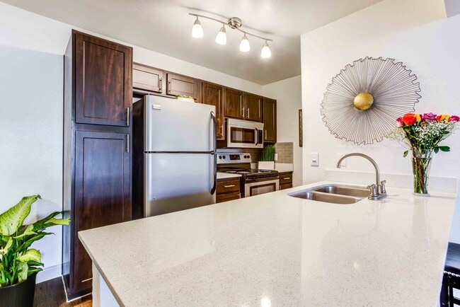 The Sycamore at Scottsdale in Scottsdale, AZ - Building Photo - Building Photo