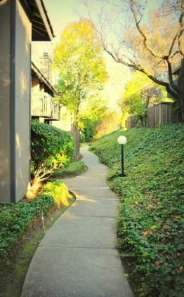 Marquee at Diablo Pines in Walnut Creek, CA - Foto de edificio - Building Photo