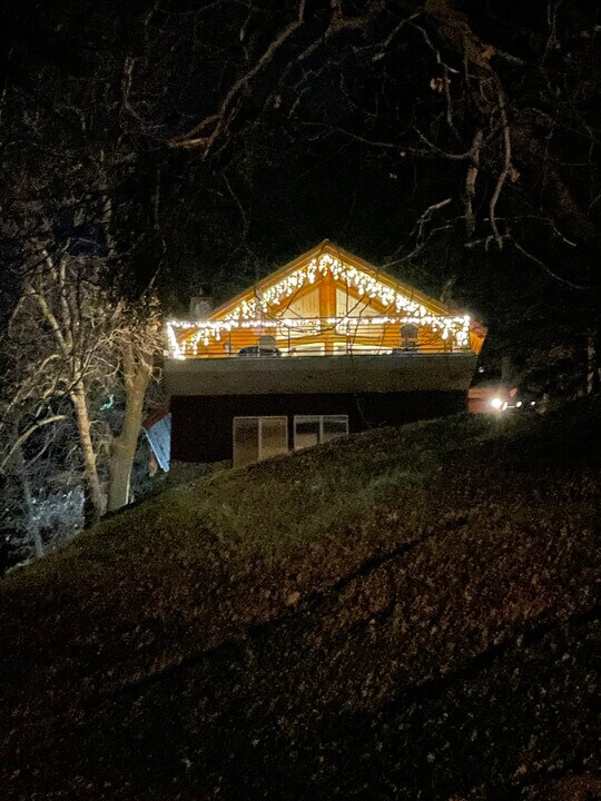 28625 Willow Rd in Lake Arrowhead, CA - Building Photo