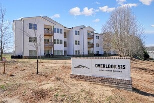 Overlook 515 in Jasper, GA - Building Photo