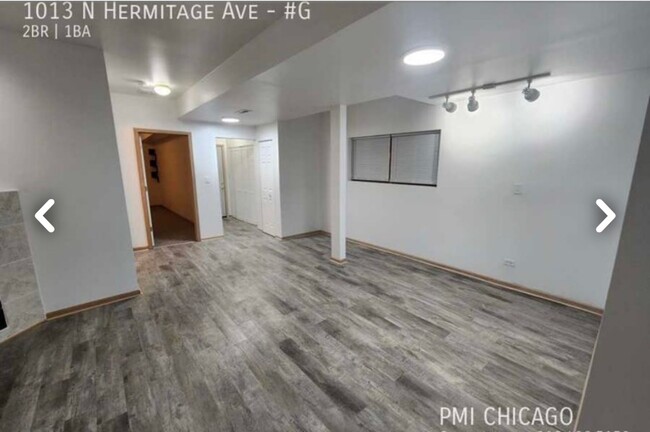 1013 N Hermitage Ave in Chicago, IL - Building Photo - Building Photo