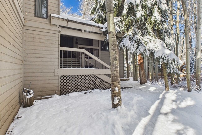 645 Sneaky Ln in Aspen, CO - Building Photo - Building Photo