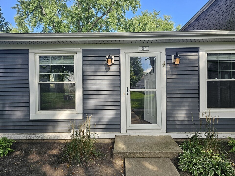 350 Meadow Ct in Vernon Hills, IL - Building Photo