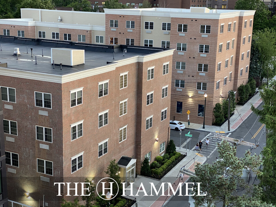 The Hammel in New Rochelle, NY - Foto de edificio