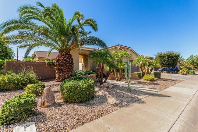 2585 E Carob Dr in Gilbert, AZ - Building Photo - Building Photo