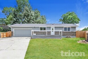 564 Mars Ct in Lone Tree, CO - Building Photo