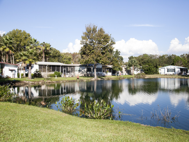 Forest View in Homosassa, FL - Building Photo - Building Photo