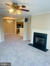 14158 Cuddy Loop in Woodbridge, VA - Building Photo - Building Photo