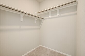 31319 Palomino Ranch Path in Fulshear, TX - Building Photo - Building Photo