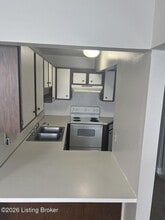 1009 S 3rd St in Louisville, KY - Building Photo - Building Photo